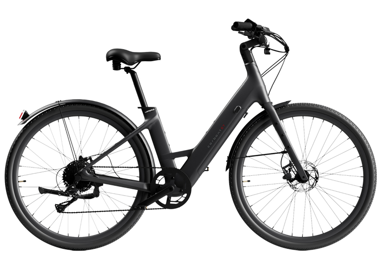 https://cdn.shopify.com/s/files/1/0583/5810/4213/files/0010_2x_3377dc11-ce59-4a6c-8e6f-6f90b8712a80.png?v=1761618815