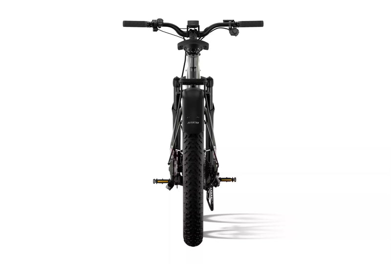 Aventon Aventure M eBike
