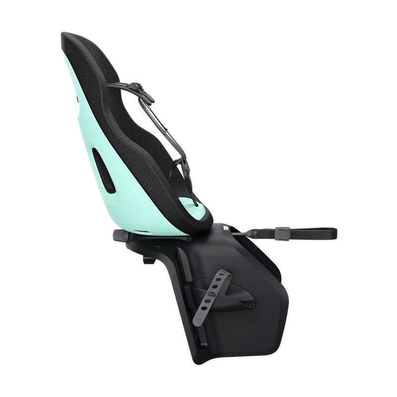 Thule Yepp Nexxt 2 maxi rack mount