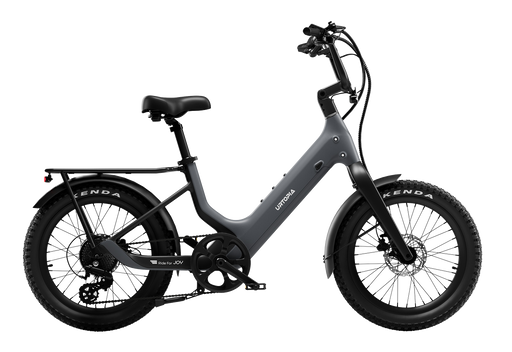 Carbon Joy Ultra E-Bike