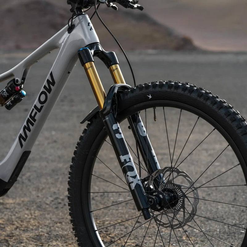 https://cdn.amflowbikes.com/tpc/uploads/carousel/image/65b851b796efb14d7851e6f9056bfb12@ultra.webp
