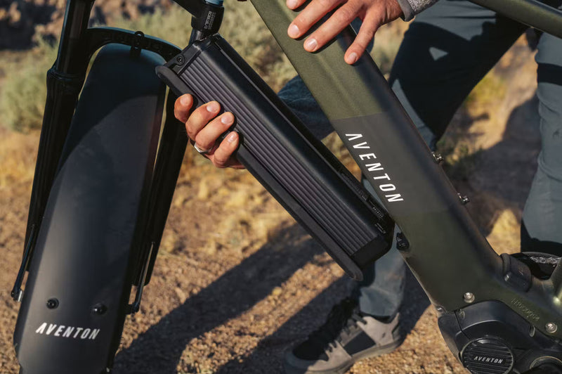 Aventon Aventure M eBike