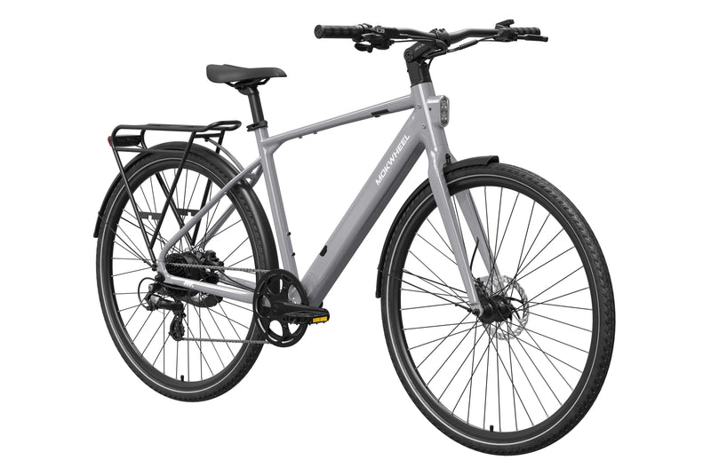 Mokwheel FLINT Ebike