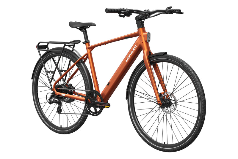 Mokwheel FLINT Ebike
