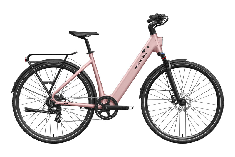 Mokwheel FLINT ST Ebike