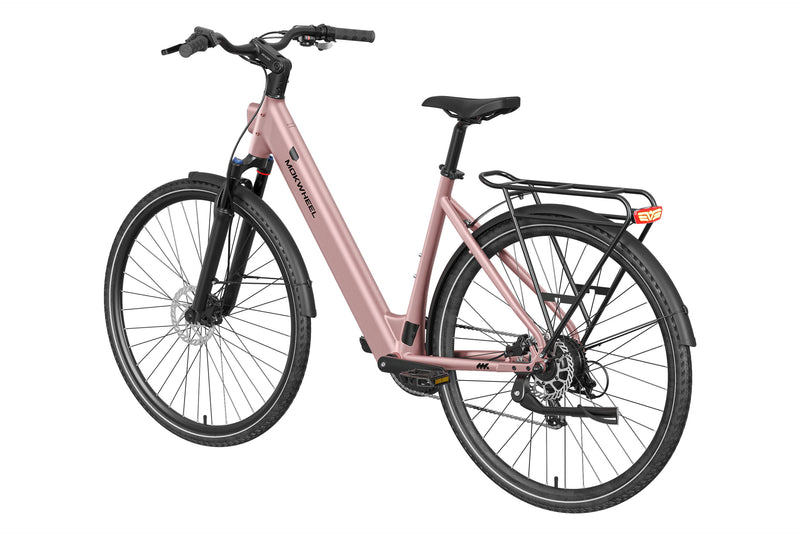 Mokwheel FLINT ST Ebike