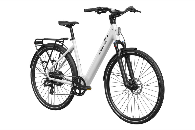 Mokwheel FLINT ST Ebike