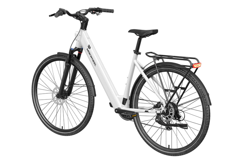 Mokwheel FLINT ST Ebike