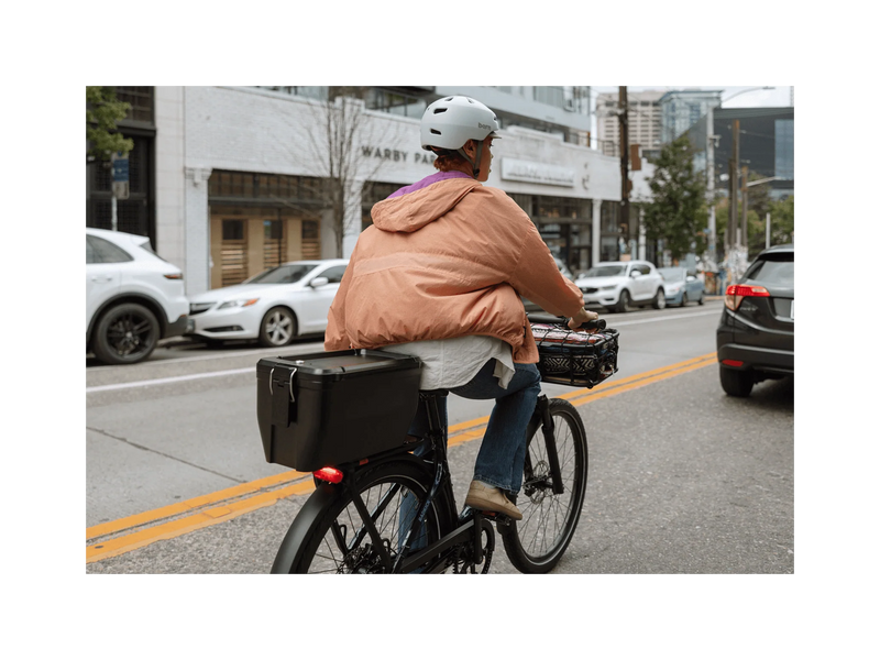 RAD RadKick™ Belt Drive Electric Lightweight Bike