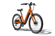 https://cdn.shopify.com/s/files/1/1520/2468/files/Pace-5-REC-Koi-02.jpg?v=1778871378