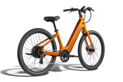 https://cdn.shopify.com/s/files/1/1520/2468/files/Pace-5-REC-Koi-03.jpg?v=1778871378
