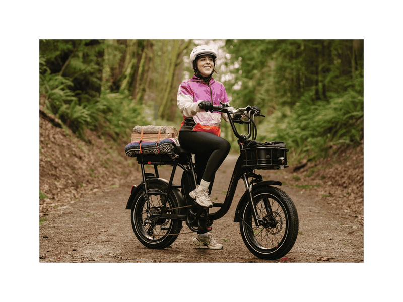 Rad RadRunner™ Plus Electric Cargo Utility Bike