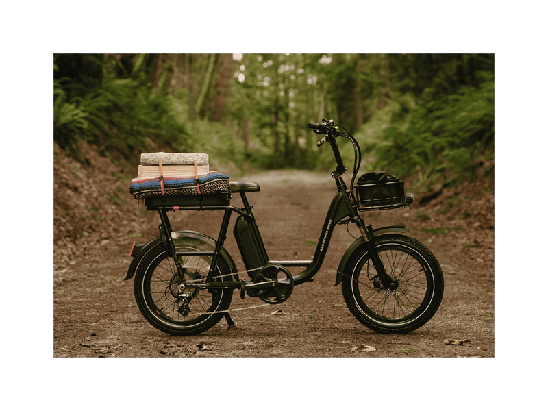Rad RadRunner™ Plus Electric Cargo Utility Bike