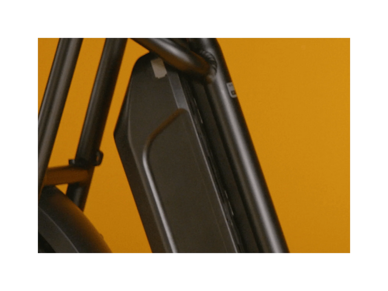 Rad RadRunner™ Plus Electric Cargo Utility Bike