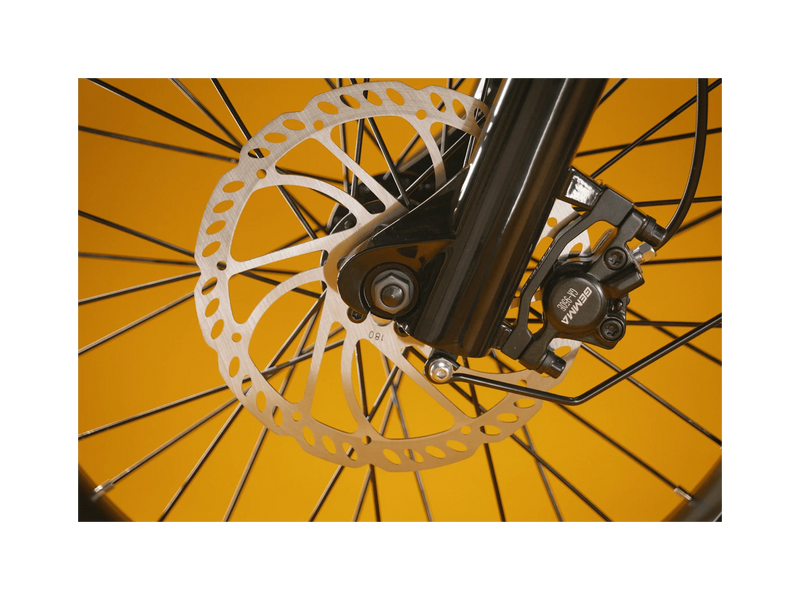 Rad RadRunner™ Plus Electric Cargo Utility Bike