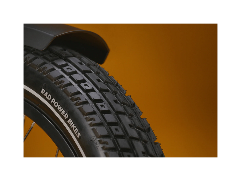 Rad RadRunner™ Plus Electric Cargo Utility Bike