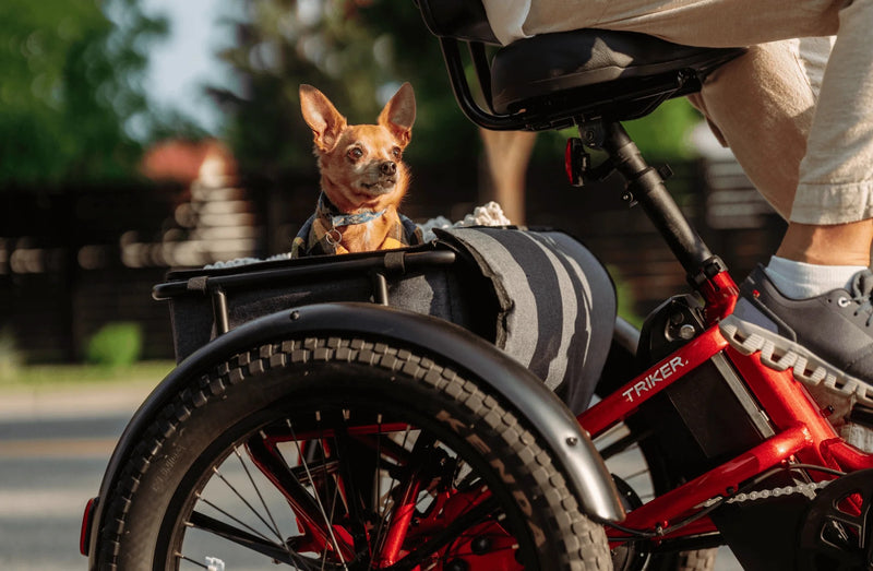 Velotric Triker