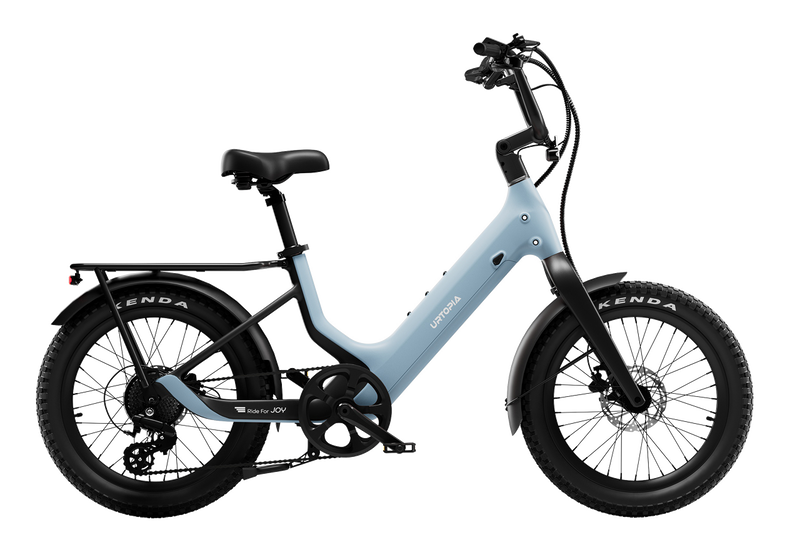 Carbon Joy Ultra E-Bike