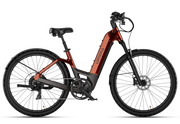 Carbon Atom E-Bike