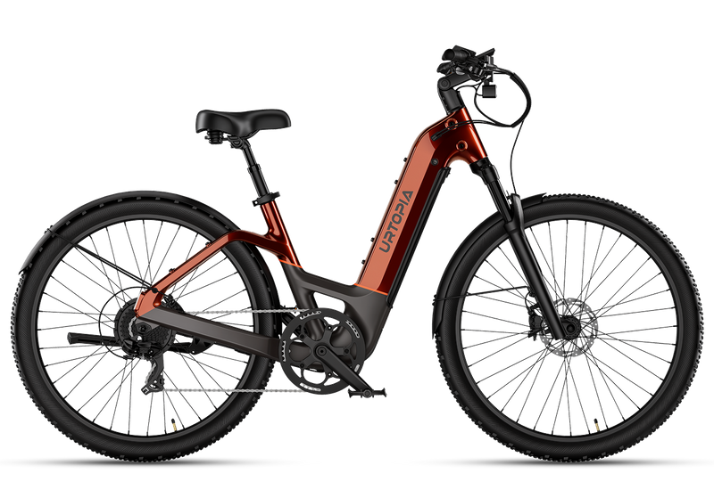 Carbon Atom E-Bike