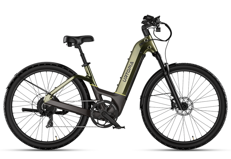 Carbon Atom E-Bike