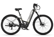 Carbon Atom E-Bike