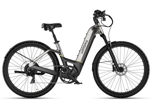 Carbon Atom E-Bike
