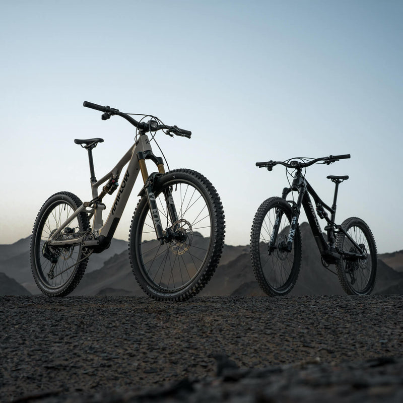 https://cdn.amflowbikes.com/tpc/uploads/carousel/image/ccc1a784b695c3388c55a64cc5761efd@ultra.jpg