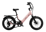 Carbon Joy Ultra E-Bike
