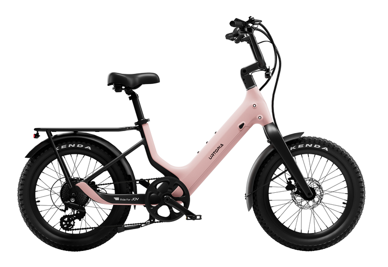 Carbon Joy Ultra E-Bike