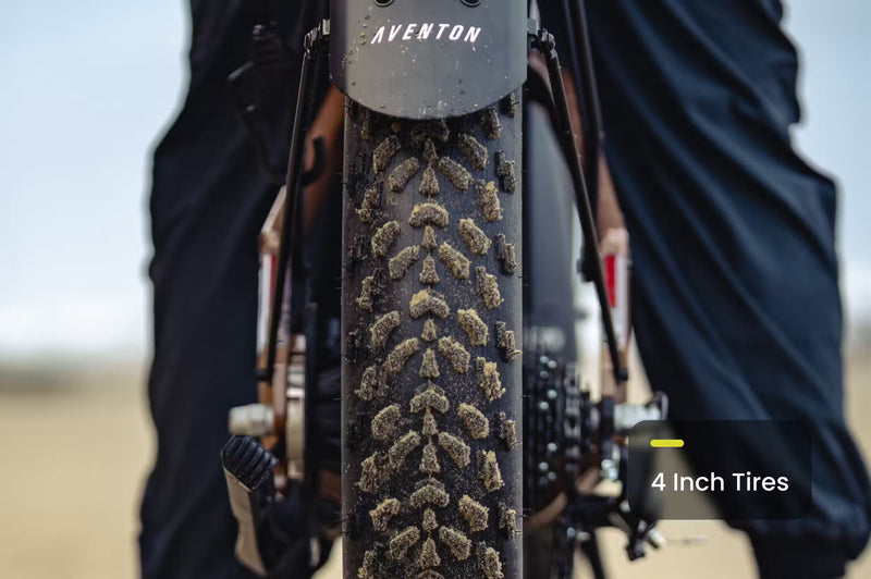 Aventon Aventure 3 Step-Through eBike