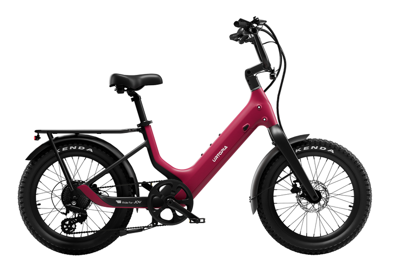 Carbon Joy Ultra E-Bike