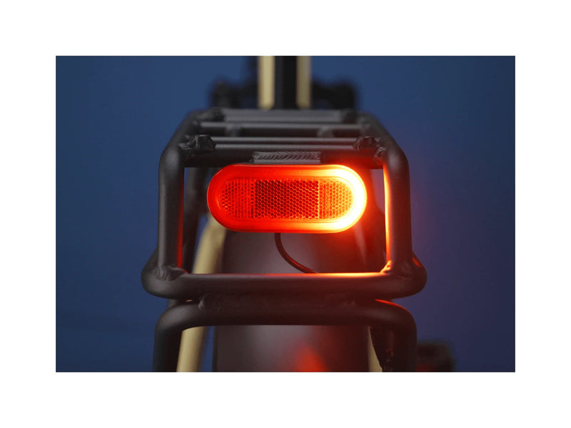 RAD RadExpand™ 5 Plus Electric Folding Bike