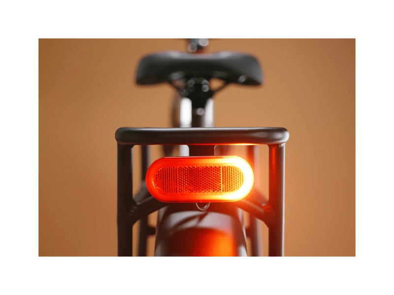 RAD Radster™ Trail Electric Off-Road Bike