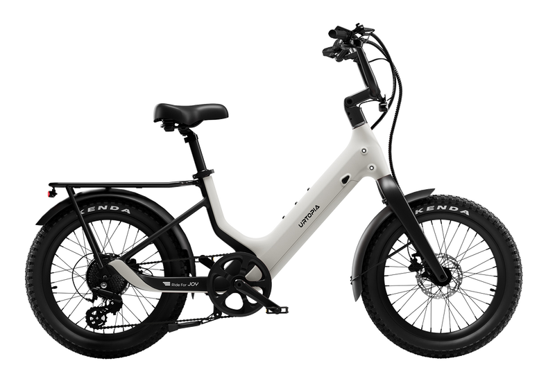 Carbon Joy Ultra E-Bike